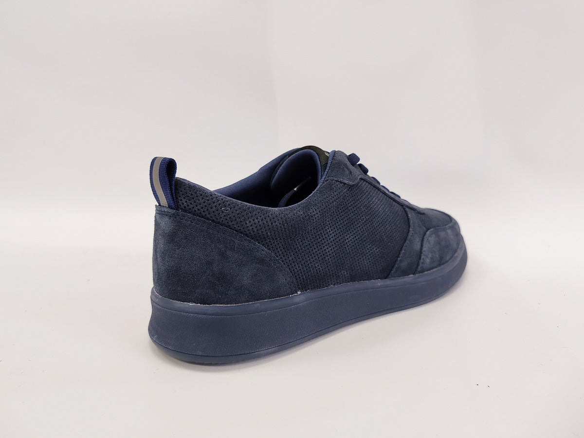 #color_navy
